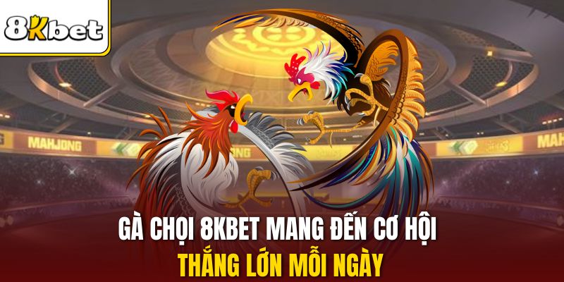 Gà chọi 8KBET mang đến cơ hội thắng lớn mỗi ngày