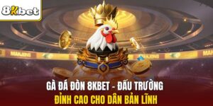 Gà Đá Đòn 8KBET - Đấu Trường Đỉnh Cao Cho Dân Bản Lĩnh