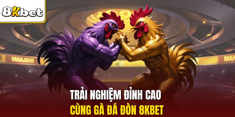 Trải nghiệm đỉnh cao cùng gà đá đòn 8KBET